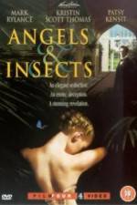 Watch Angels and Insects Vidbull