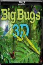 Watch Big Bugs in 3D Vidbull
