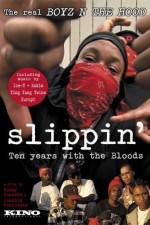 Watch Slippin' Ten Years with the Bloods Vidbull
