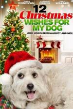Watch 12 Christmas Wishes For My Dog Vidbull