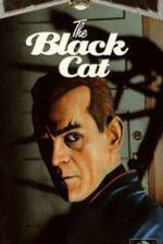 Watch The Black Cat Vidbull