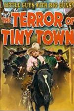 Watch The Terror of Tiny Town Vidbull