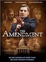 Watch The Amendment Vidbull