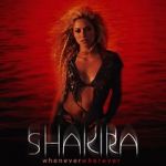 Watch Shakira: Whenever, Wherever Vidbull