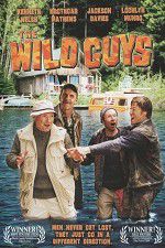 Watch The Wild Guys Vidbull