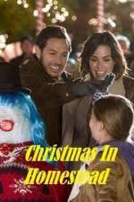Watch Christmas in Homestead Vidbull