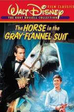 Watch The Horse in the Gray Flannel Suit Vidbull