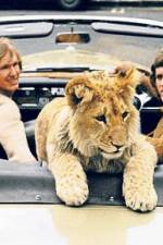 Watch The Lion Cub from Harrods Vidbull