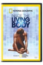 Watch National Geographic The Incredible Human Body Vidbull