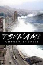 Watch Tsunami: Untold Stories Vidbull