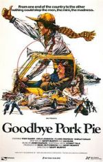 Watch Goodbye Pork Pie Vidbull