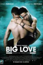 Watch Big Love Vidbull