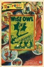 Watch The Wise Owl (Short 1940) Vidbull
