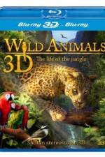 Watch Wild Animals - The Life of the Jungle 3D Vidbull