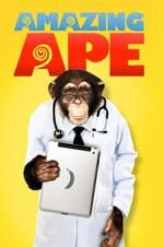 Watch The Amazing Ape Vidbull