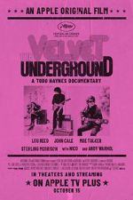 Watch The Velvet Underground Vidbull