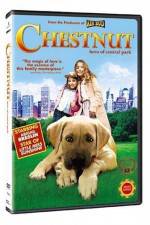Watch Chestnut - Hero of Central Park Vidbull