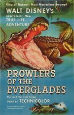 Watch Prowlers of the Everglades (Short 1953) Vidbull