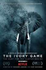 Watch The Ivory Game Vidbull
