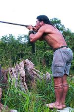 Watch Borneo Death Blow Vidbull