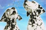 Watch 101 Dalmatians Sing Along Vidbull