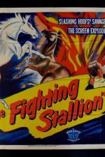 Watch The Fighting Stallion Vidbull