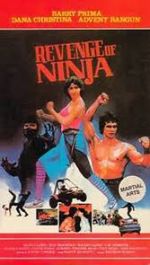 Watch Revenge of the Ninja Vidbull