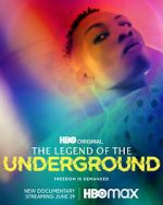 Watch Legend of the Underground Vidbull