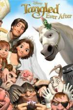 Watch Tangled Ever After Vidbull