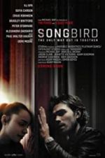 Watch Songbird Vidbull