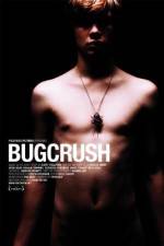 Watch Bugcrush Vidbull