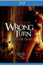 Watch Wrong Turn 3: Left for Dead Vidbull
