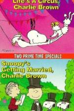 Watch Snoopy's Getting Married Charlie Brown Vidbull