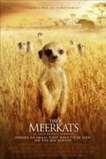 Watch The Meerkats Vidbull