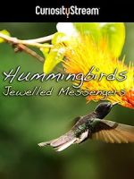 Watch Hummingbirds Jewelled Messengers Vidbull