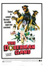 Watch The Doberman Gang Vidbull