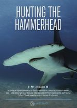 Watch Hunting the Hammerhead Vidbull
