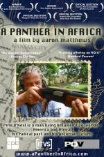 Watch A Panther in Africa Vidbull