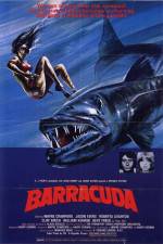 Watch Barracuda Vidbull