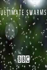 Watch Ultimate Swarms Vidbull