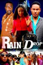 Watch Raindrop Vidbull