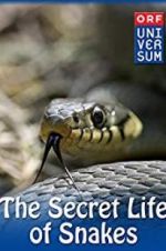 Watch The Secret Life of Snakes Vidbull