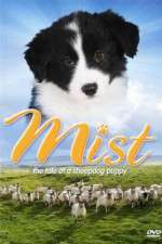 Watch Mist: The Tale of a Sheepdog Puppy Vidbull