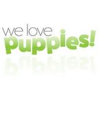Watch We Love Puppies Vidbull