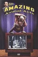 Watch Ed's Amazing Animal Acts Vidbull