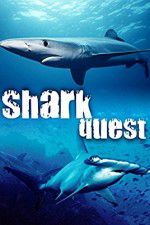 Watch Shark Quest Vidbull