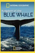 Watch National Geographic Kingdom of Blue Whale Vidbull