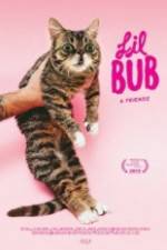 Watch Lil Bub & Friendz Vidbull