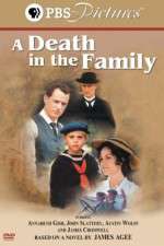 Watch A Death in the Family Vidbull