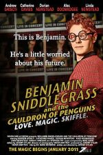 Watch Benjamin Sniddlegrass and the Cauldron of Penguins Vidbull